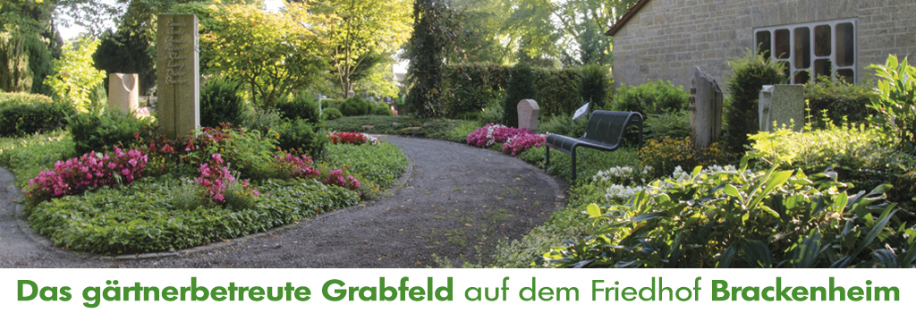 Gärtnerbetreutes Grabfald Brackenheim